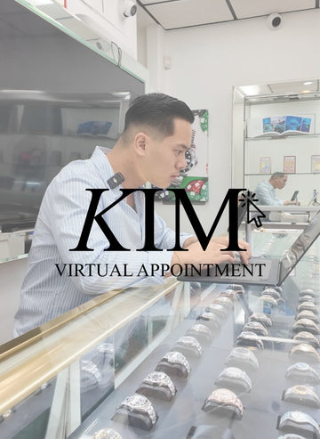 Virtual Appointment